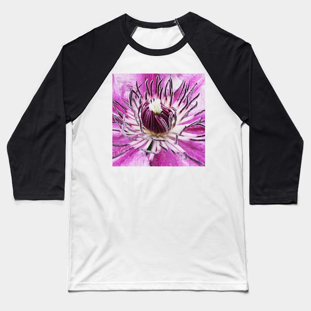 Clematis viticella Italian Leather Flower Baseball T-Shirt by CyriocosmusE